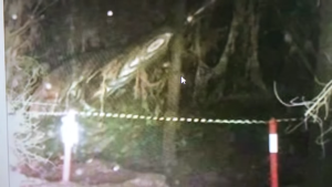 Exclusive coverage: Unidentified object found in remote forest triggers global interest and skepticism (video)